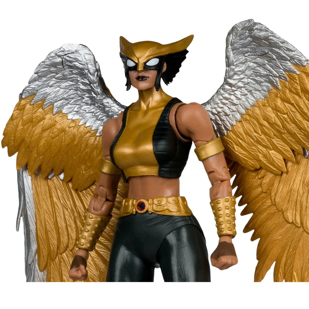 McFarlane Toys DC Multiverse Collector Edition #63 Hawkgirl (Kendra Saunders) 7-Inch Action Figure