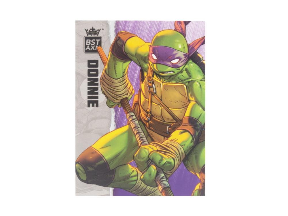 Teenage Mutant Ninja Turtles BST AXN Comic Heroes Donatello