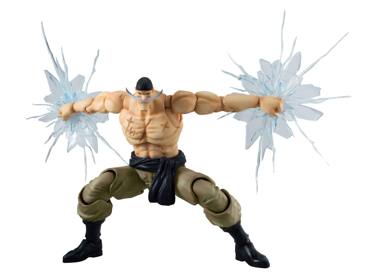 One Piece S.H.Figuarts Edward Newgate (Whitebeard) Marineford Action Figure