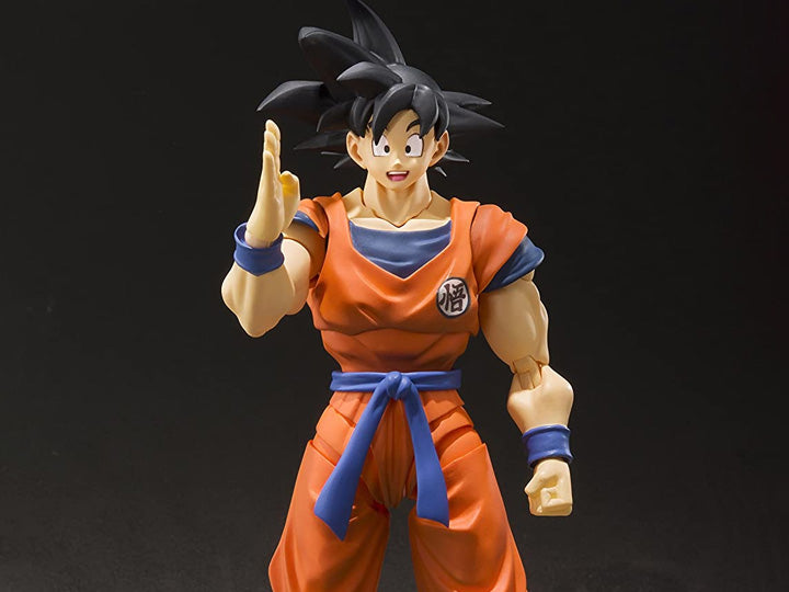 S.H. FIGUARTS SON GOKU | A SAIYAN RAISED ON EARTH