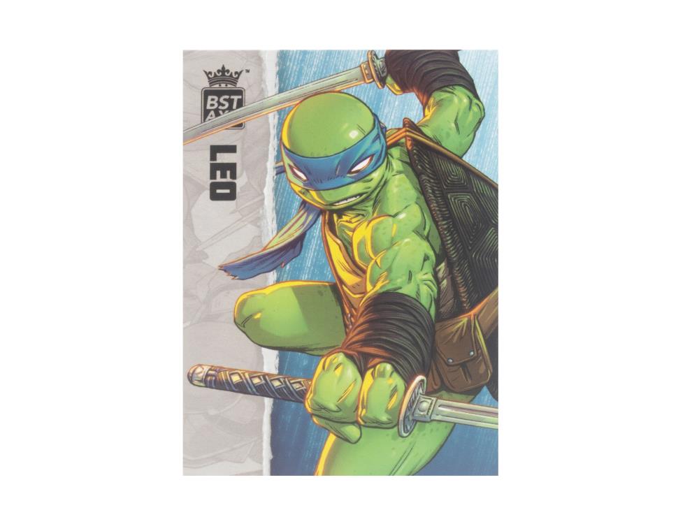 Teenage Mutant Ninja Turtles BST AXN Comic Heroes Leonardo