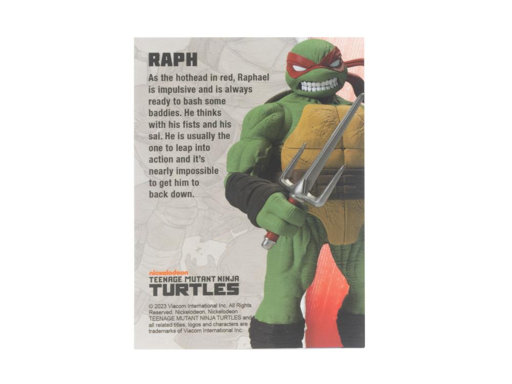 Teenage Mutant Ninja Turtles BST AXN Comic Heroes Raphael